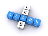 Lead and learn word cubes Royalty Free Stock Photography