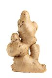 Ginger Stock Photo
