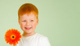 Adorable redheaded boy with orange African daisy Stock Photo
