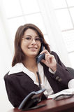 Young lady at the office Royalty Free Stock Image