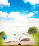Book and nature Royalty Free Stock Image