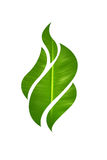 Flame leaf shape Stock Image