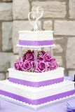 White Wedding Cake Royalty Free Stock Image