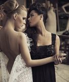 Perfect female couple Stock Image