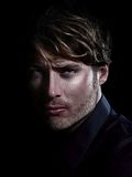 Man - male beauty portrait Stock Photos