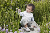 Young boy studies nature Stock Images