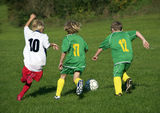 Young soccer player Royalty Free Stock Image