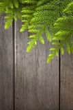 Christmas Tree Wood Background Stock Photos