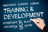 Training and Development  Stock Photos