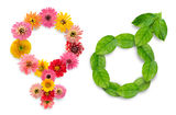 Gender simbols from plants Stock Photography