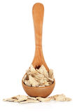 Ginger Root Stock Images