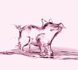 Pink Water Pig Stock Images