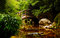 Japanese garden