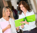 Student seeking advice Stock Image