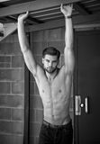 Sexy Young Man Stock Image