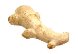 Ginger Royalty Free Stock Image