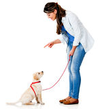 Woman training her dog Stock Images