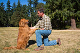 Dog Training at the park Royalty Free Stock Images