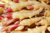 Tender ginger Royalty Free Stock Photo