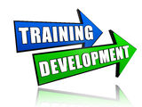 Training development in arrows Royalty Free Stock Image