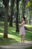Lady and tree Royalty Free Stock Photography