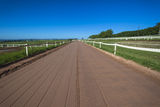 Horse Racing Sand Training Stock Photos