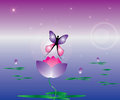 Abstract background with butterfly and lotus flowe human silueth wings on flower Royalty Free Stock Images