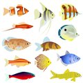 Aquarium fish set of the illustration on a white background Stock Image