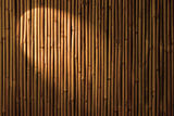 Bamboo Spotlight Background Royalty Free Stock Photos