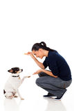 Woman training dog Stock Photography