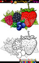 Berry fruits illustration for coloring book or page cartoon of four like blueberry and blackberry and raspberry and strawberry Royalty Free Stock Photo