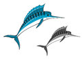 Blue marlin fish in cartoon style for fishing sports design Stock Photo