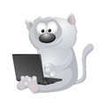 Cat with a computer funny gray sitting at the Royalty Free Stock Photos