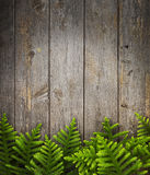 Christmas Tree Wood Background Stock Photos