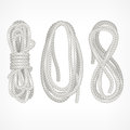Coils of rope on white different vector illustration Stock Image