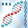 Dna strand closeup and silhouette Stock Images