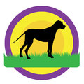 Dog circles a silhouette of a great dane against purple yellow and orange there is green grass beneath his feet with room for text Royalty Free Stock Images