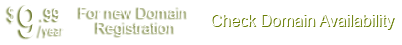 Domain name