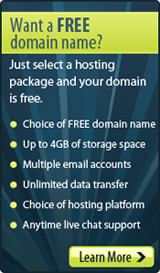 Web Hosting