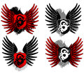 Dragon shields with different wings Royalty Free Stock Image