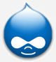 Drupal Hosting Services