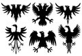 Eagles design with white background Stock Photos