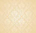 Gentle peach background vector decorative Stock Photos