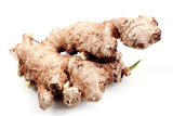 Ginger Royalty Free Stock Photos