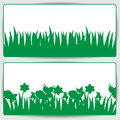 Grass and flowers on a white background Royalty Free Stock Photography