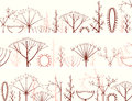 Horizontal banner of different types of inflorescence vector scientific scheme flower on stalk botany Royalty Free Stock Image