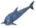 Illustration of a dolphin d rendering floating Royalty Free Stock Photos