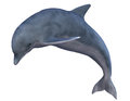 Jumping dolphin d rendering of a Stock Photography