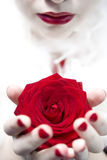 Lady with red rose Stock Photo