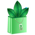 Leaves of green color are in a package Stock Photography